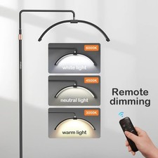 Lash Light, Half Moon Lamp for